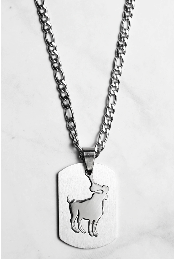Collier zodiaque en acier inoxydable – Présenté en écrin