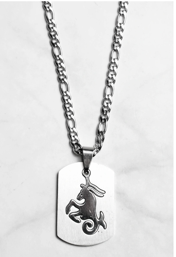 Collier zodiaque en acier inoxydable – Présenté en écrin