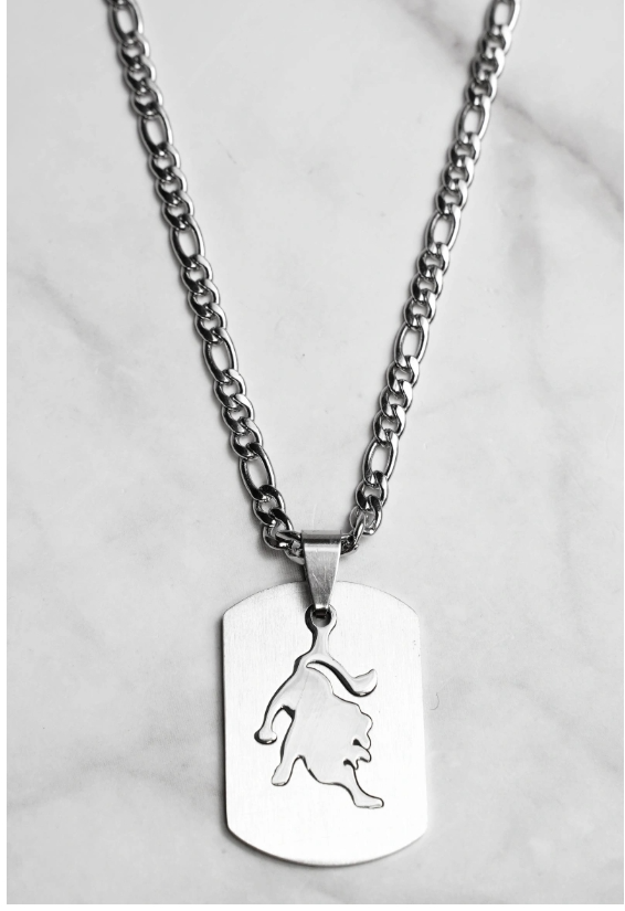 Collier zodiaque en acier inoxydable – Présenté en écrin