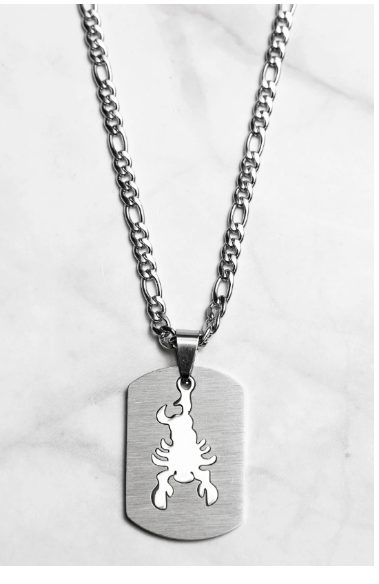 Collier zodiaque en acier inoxydable – Présenté en écrin