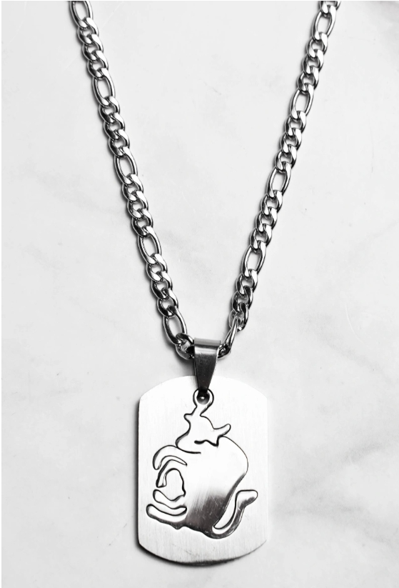 Collier zodiaque en acier inoxydable – Présenté en écrin